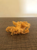 Raw sea moss